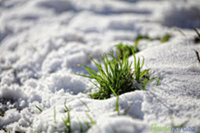 Завтра фронтальные разделы сместятся на Сахалин