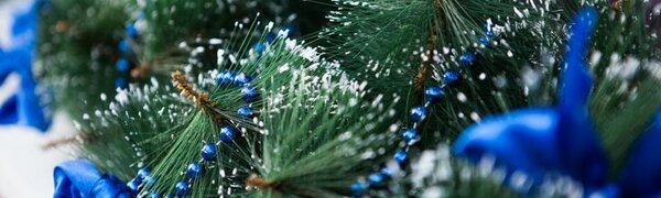Стало известно, за что россияне не любят новогодние праздники