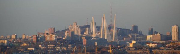 Власти Владивостока признаны одними из самых неэффективных в стране