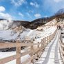 Авиарейс в Саппоро впервые начал летать из Приморья