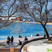 Жителей Приморья на выходных ждет жара до +30 °C