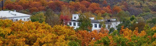 Вторая декада октября в Приморье оказалась с дефицитом осадков