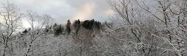 Следующая неделя в Приморье будет морозной и снежной