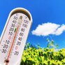 Исследование: из-за потепления последние 8 лет стали самыми жаркими