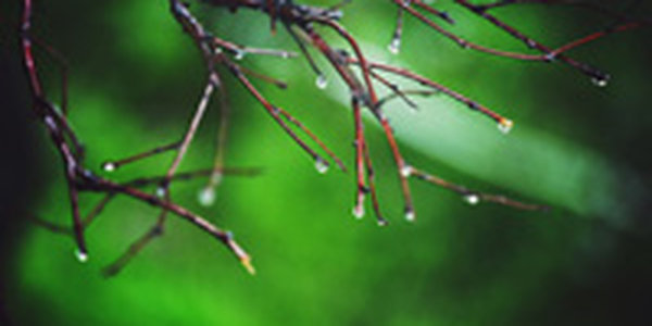 На юге Приморья в выходные выпало около месячной нормы осадков