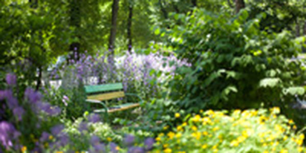 Завтра погоду будет определять поле повышенного давления