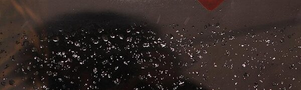 Почти весна и небольшой снег: всё о погоде в Приморье в последние выходные зимы