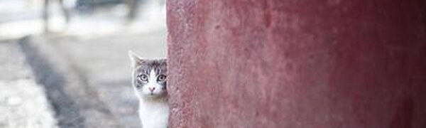 Небольшой снег и прохладно: прогноз погоды в Приморье на вторник