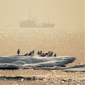 Выходные с Примпогодой: Мыс Тобизина
