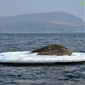 Выходные с Примпогодой: Мыс Тобизина