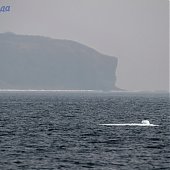Выходные с Примпогодой: Мыс Тобизина