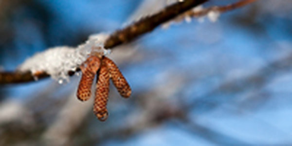 Первая декада ноября в Приморье была скупа на осадки