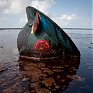 Эко-ужасы Мексиканского залива (ФОТО)
