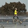 Эко-ужасы Мексиканского залива (ФОТО)