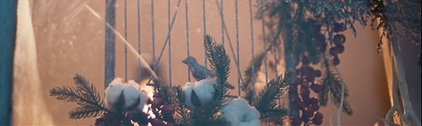 Ночь на воскресенье во Владивостоке будет самой холодной в текущем декабре