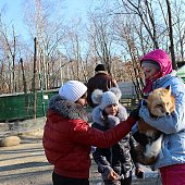 Зоопарк на Садгороде дарит предновогодние подарки от тигриц Уссурки и Амурки