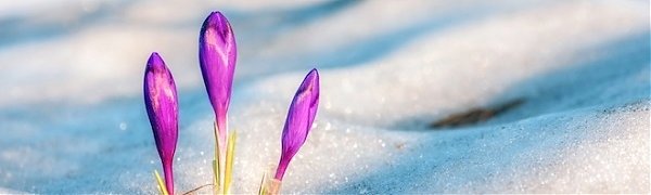 Март 2016 поставил рекорд тепла на Северном полушарии Земли