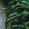 Завтра во Владивостоке в конце дня пройдёт сильный дождь