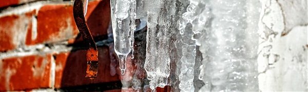 Первое дыхание весны ощутили жители Приморья