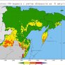 Высокий уровень ультрафиолетового излучения ожидается в Приморье на выходных