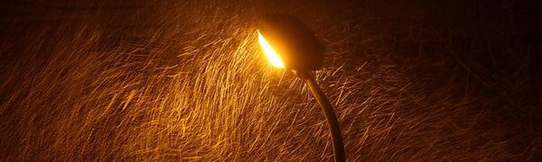 О погоде в первую неделю февраля в Приморье и Владивостоке рассказали синоптики