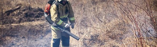 На территории Приморского края введён особый противопожарный режим