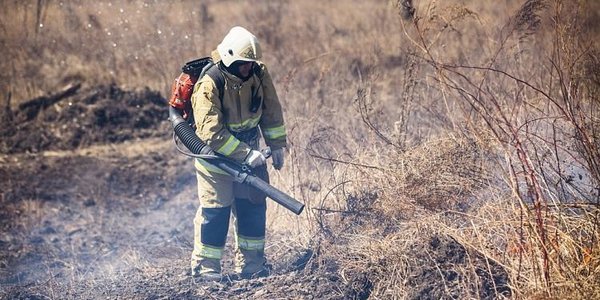 На территории Приморского края введён особый противопожарный режим
