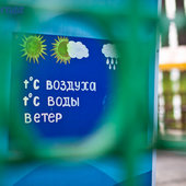 Прошедшие выходные порадовали приморцев теплой погодой