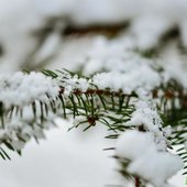 Владивосток засыпало снегом. Он будет идти и в начале недели