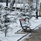 Владивосток засыпало снегом. Он будет идти и в начале недели