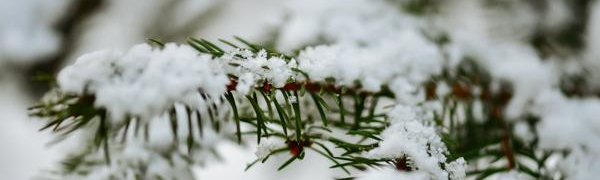 Владивосток засыпало снегом. Он будет идти и в начале недели