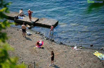 Аномально теплая вода в Приморье Аномально теплая вода в Приморье