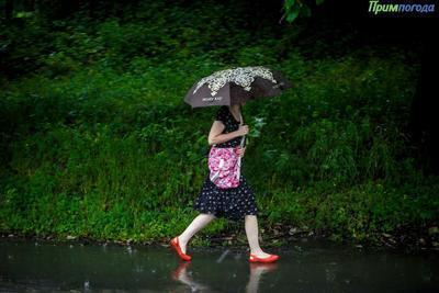Больше всего дождей выпало в южных районах Приморья в понедельник