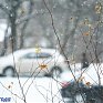 На юге Приморья идет снег