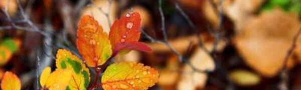 Солнечная осенняя погода продолжает радовать жителей и гостей Приморья