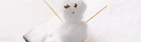 Синоптики рассказали, в каких районах Приморья выпадет снег на этой неделе