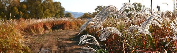 Синоптики озвучили неутешительный прогноз на рабочую неделю в Приморье и Владивостоке