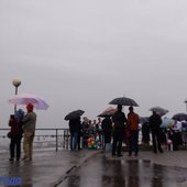 В четверг во Владивостоке выпала декадная норма дождя
