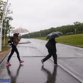 В четверг во Владивостоке выпала декадная норма дождя