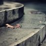 Первые дни октября были холодными