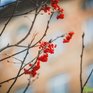 За сутки температура воздуха в Приморье повысилась на 9 °C