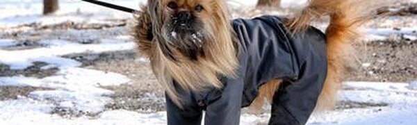 Небольшой снег пройдет в Приморье на выходных