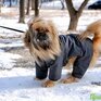 Небольшой снег пройдет в Приморье на выходных
