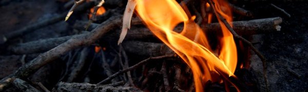 В выходные пожароопасность в Приморье возрастёт до 4 уровня