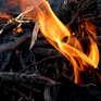 В выходные пожароопасность в Приморье возрастёт до 4 уровня