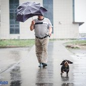 Приморье накрыл холодный атмосферный фронт