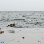 Приморье накрыл холодный атмосферный фронт