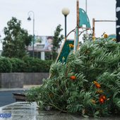 Приморье накрыл холодный атмосферный фронт