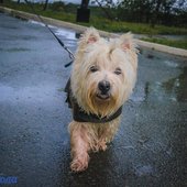 Приморье накрыл холодный атмосферный фронт