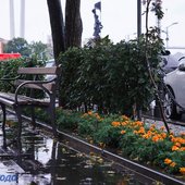 Приморье накрыл холодный атмосферный фронт
